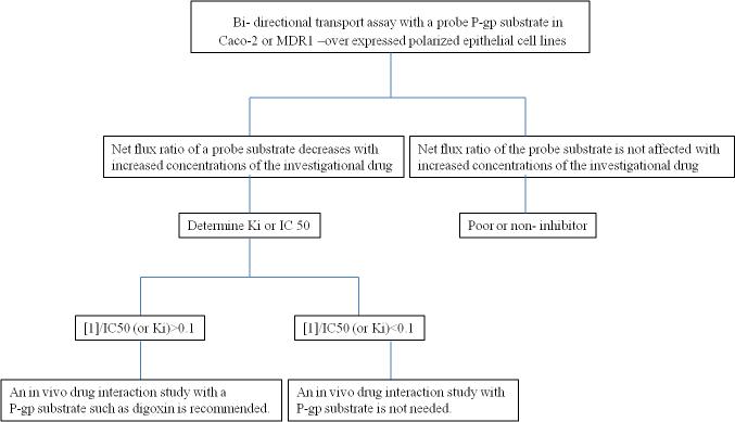 시험약물이 P-gp의 저해제인지, P-gp 기질 존재 하에 in vitro 상호작용 연구가 필요한지 판별하는 과정에 대한 항목