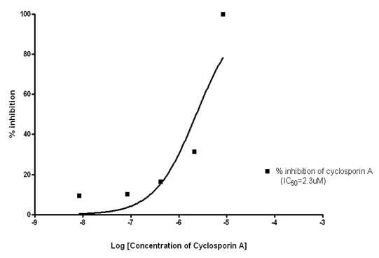 p-gp 과발현 세포주 (MES-SA/DX5) 에서의 positive control인 cyclosporin A의 p-gp inhibition test