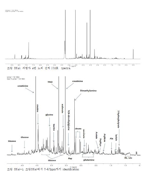 그림 33. Acetaminophen을 투여한 4번 피험자 뇨의 600MHz 1H NMR spectra.