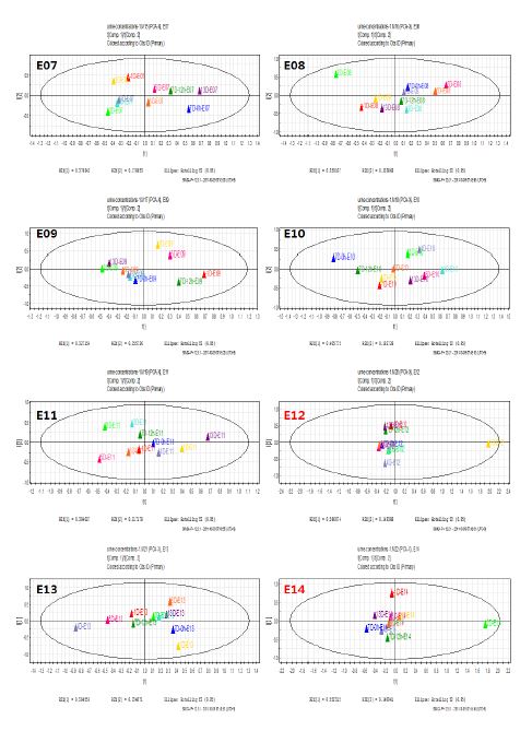 그림 43. Acetamonophen의 투여한 전제 피험자에 따른 뇨 샘플의 targeted metabolite PCA