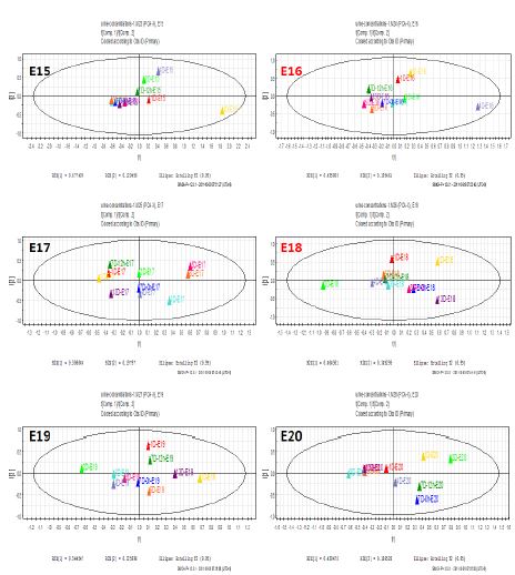 그림 43. Acetamonophen의 투여한 전제 피험자에 따른 뇨 샘플의 targeted metabolite PCA