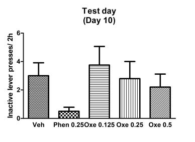 Effects of phentermine and oxethazaine on inactive lever presses in self-administration in rat. Data represent mean ± SEM of 4-6 mice per group. Veh: vehicle, Phen: Phentermine, Oxe: Oxethazaine.