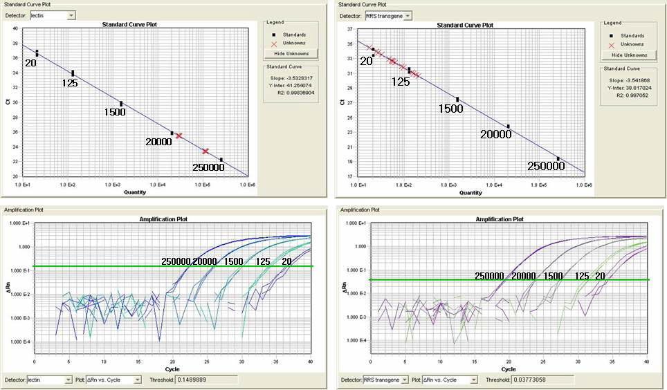 Non-GM 바탕시료에 대한 real-time PCR한 결과의 standard curve plot과 amplification plot이다