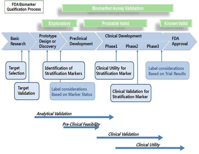 임상시험을 위한 바이오마커의 개발 개념도(Drug-Test Co-Development)