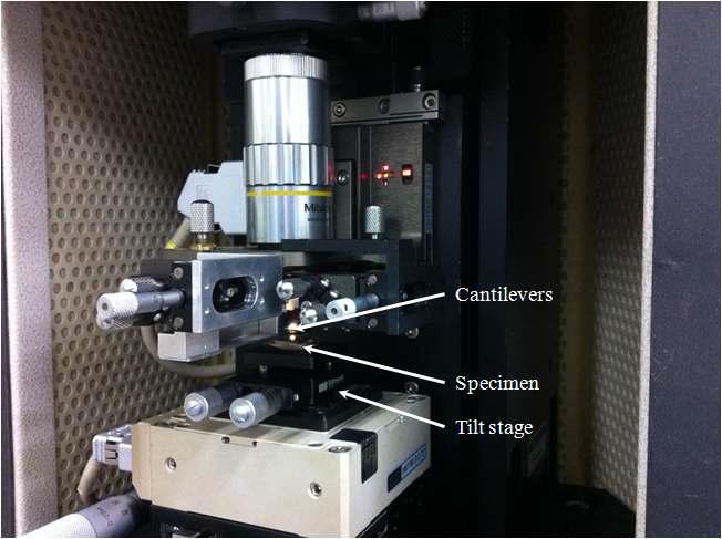 원자 현미경을 이용하여 구현된 원자 현미경 간섭계 측정 장치