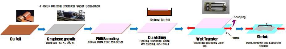 그래핀 박막의 주름측정용 시편제작 모식도