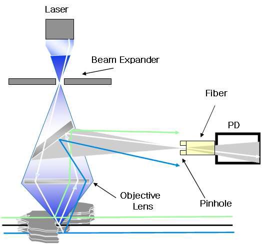 Schematics of laser scanning confocal microscopy