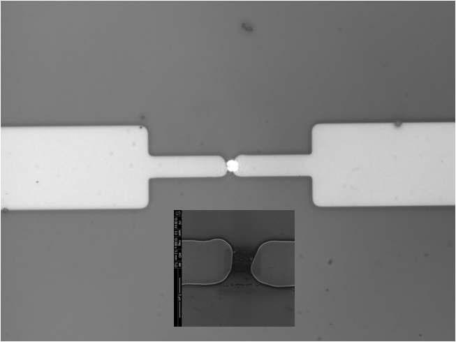 Confocal microscope image of NQDs-SWCNT FET device, inset: SEM image of electrodes and NQDs-SWCNTs