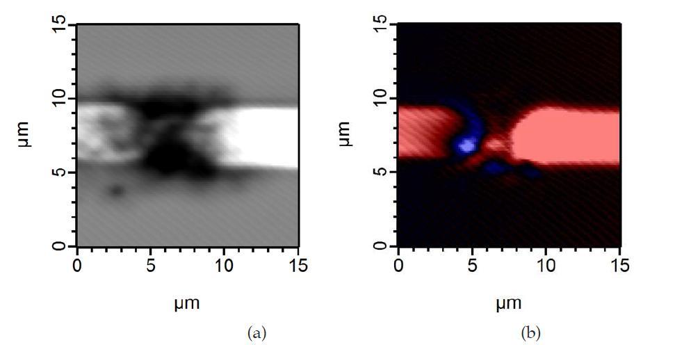 (a) Confocal microscope image and (b) photocurrent image of the channel region of a CdSe-SWCNT FET device.