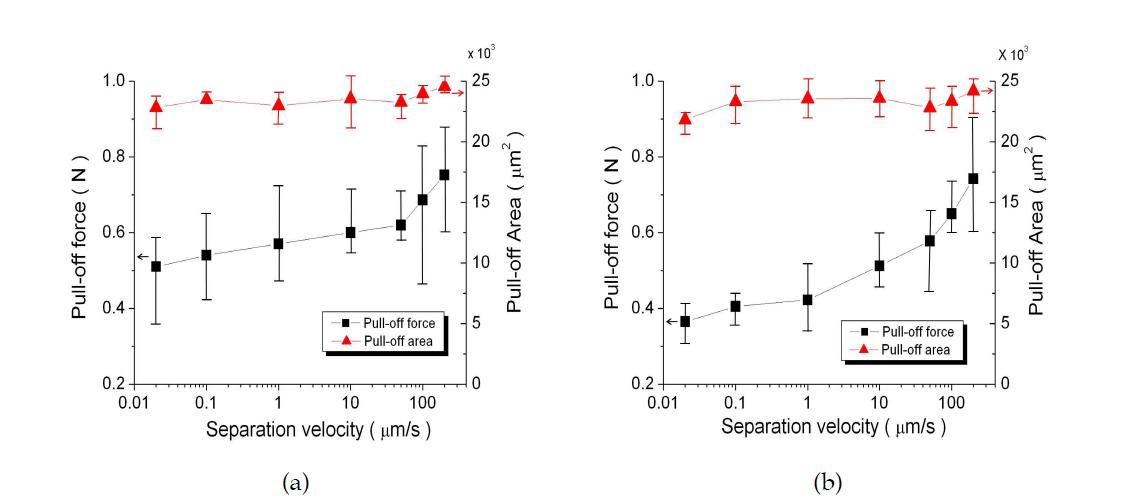 분리속도가 점착력에 미치는 영향