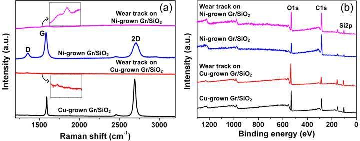 (a) Raman and (b) XPS spectra for graphene samples after the friction tests