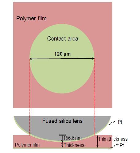 렌즈와 폴리머 필름의 접촉 상태