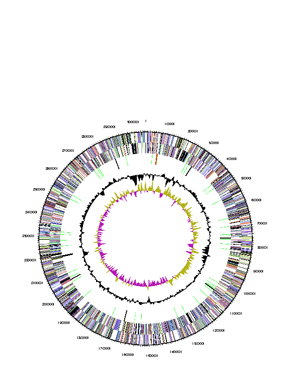 Fig. 3-6-1. Genomic map of Erythrobacter litoralis HTCC2594