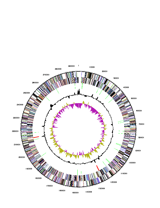 Fig. 3-6-3. Genomic map of Croceibacter atlanticus HTCC2559.