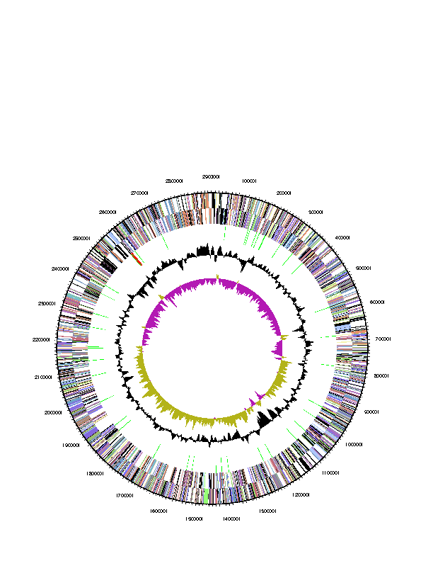 Fig. 3-6-4. Genomic map of Parvularcula bermudensis HTCC2503.