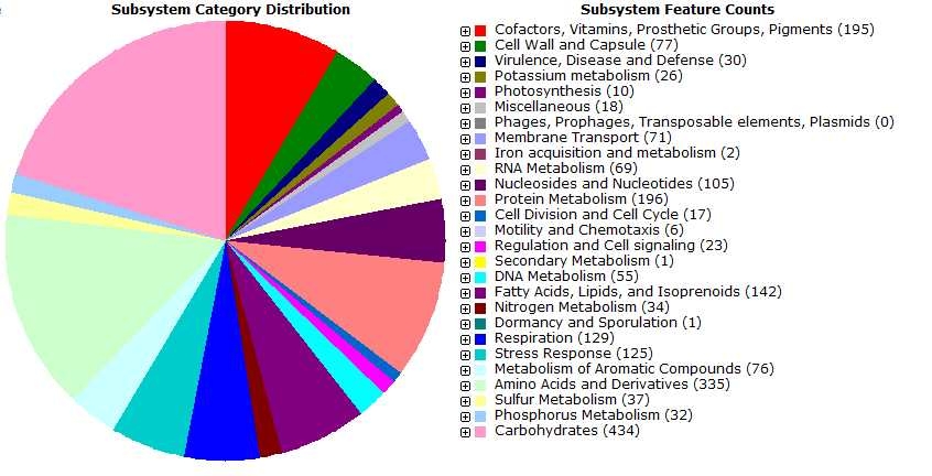 Fig. 3-6-6. RAST subsystem distribution of ORFs annotated in the genome sequence of Rhodobacterales sp. HTCC2083.