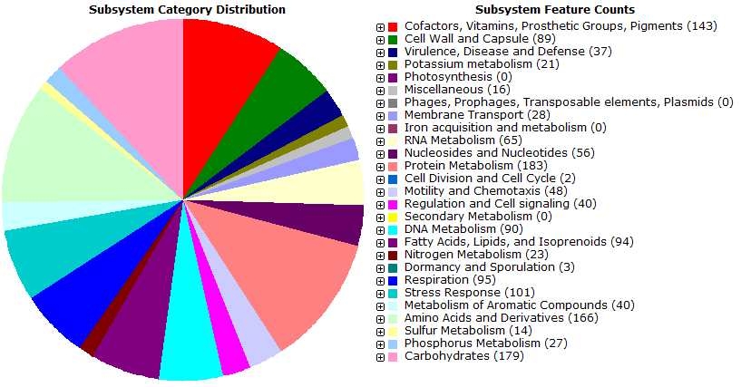 Fig. 3-6-7. RAST subsystem distribution of ORFs annotated in the genome sequence of HTCC2143.