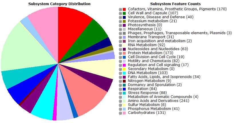 Fig. 3-6-9. RAST subsystem distribution of ORFs annotated in the genome sequence of strain IMCC1989