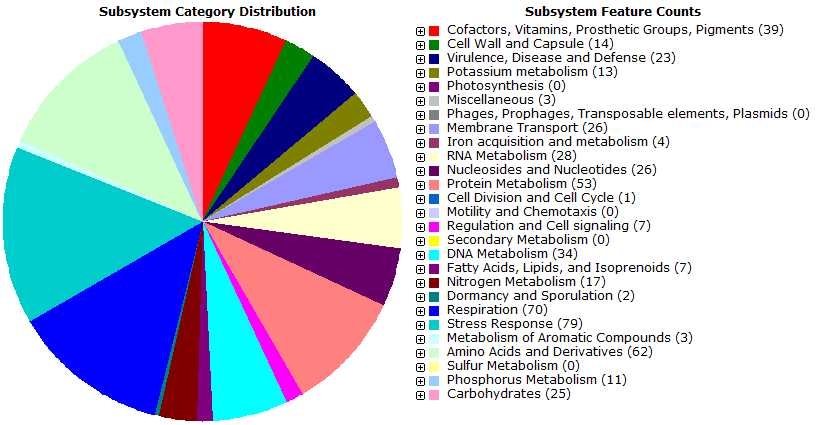 Fig. 3-6-10. RAST subsystem distribution of ORFs annotated in the genome sequence of strain IMCC2047