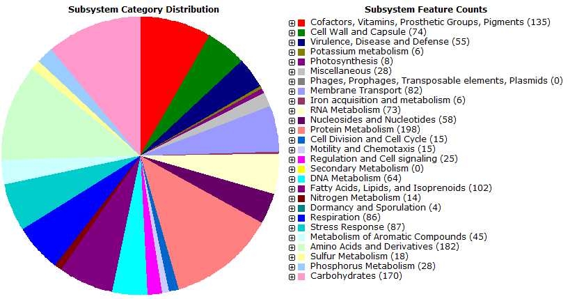 Fig. 3-6-11. RAST subsystem distribution of ORFs annotated in the genome sequence of strain IMCC3088.