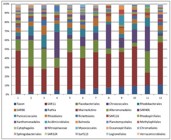 Fig. 3-3-4. Bacterial community structure examined by 16S rRNA tag sequencing