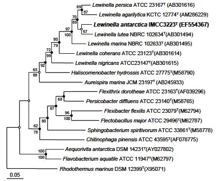 Fig. 3-5-1. Maximum likelihood phylogenetic tree, based on 16S rRNA gene sequences, showing the relationships between strain IMCC3223T and representatives of the phylum Bacteroidetes.