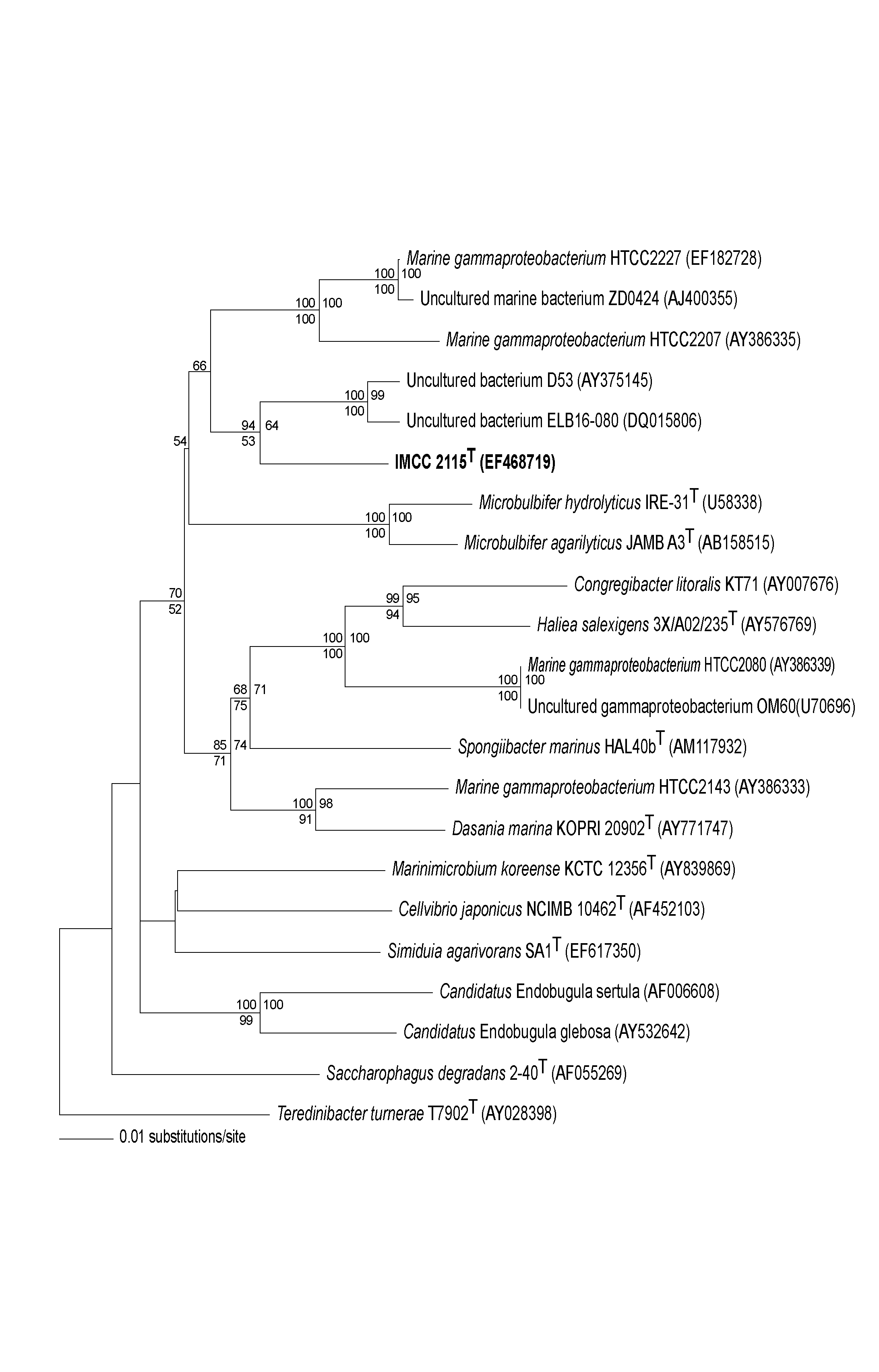 Fig. 3-5-2. Neighbour-joining phylogenetic tree based on 16S rRNA gene sequences, showing the relationships between strain IMCC2115T and representatives of the related taxa.