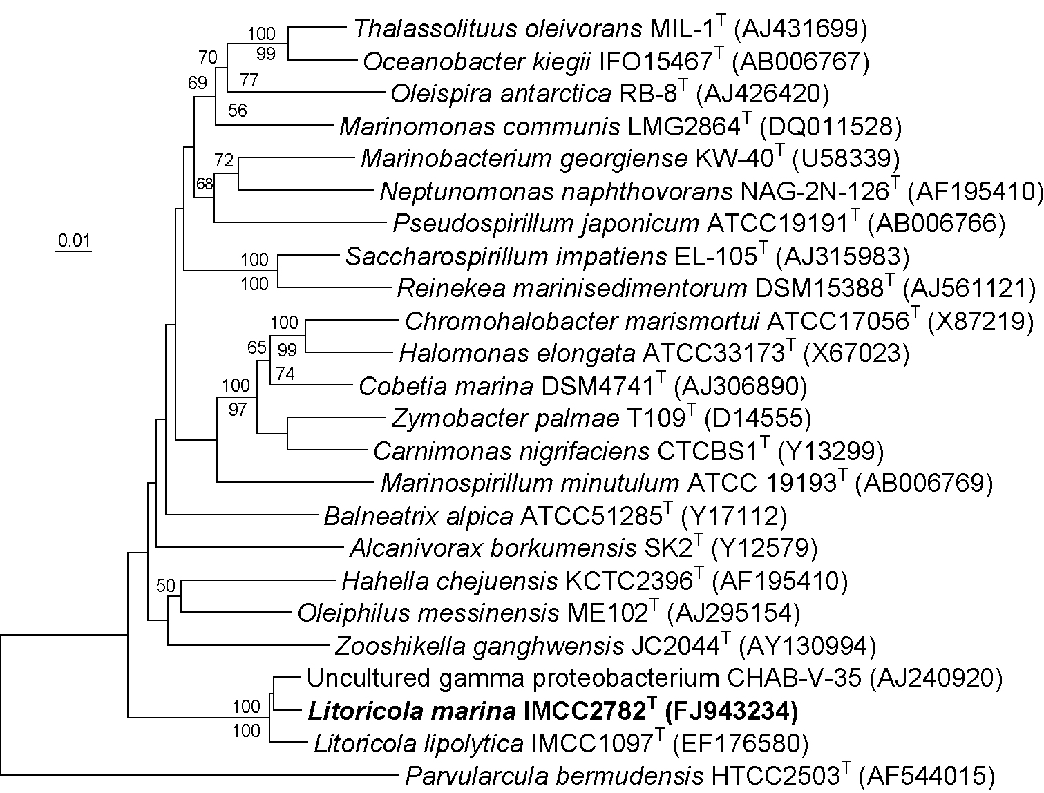 Fig. 3-5-3. Neighbour-joining phylogenetic tree, based on 16S rDNA sequences, showing the relationship between strain IMCC2782T and its relatives of the order Oceanospirillales.