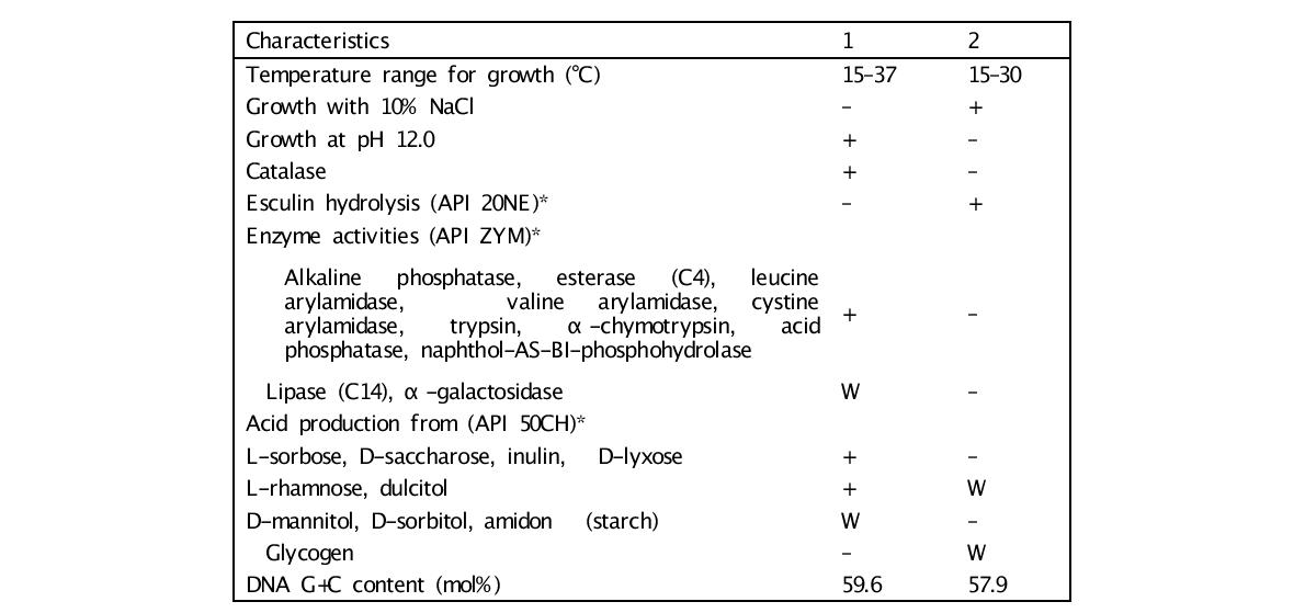 Differential characteristics between strains L. marinaT T