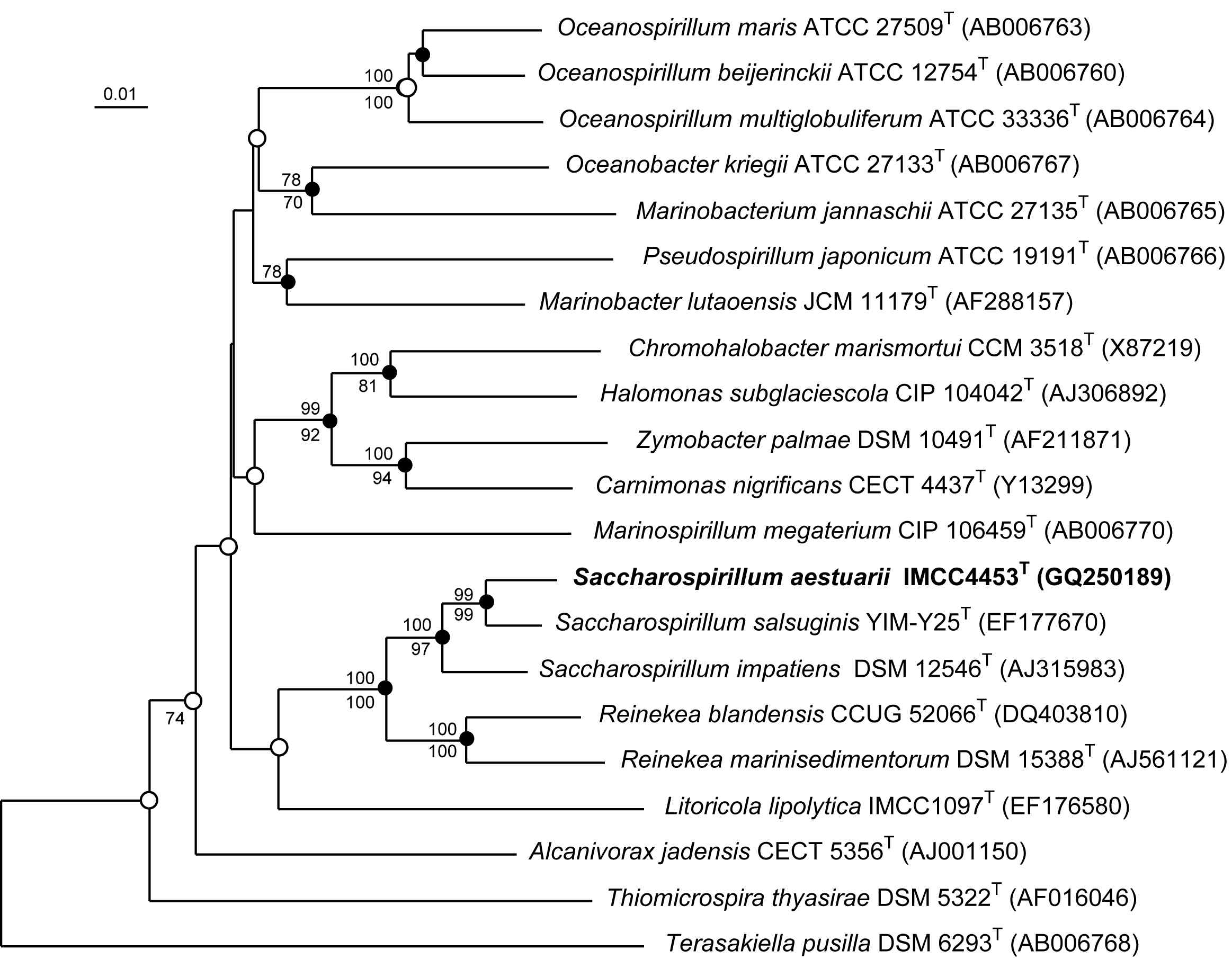 Fig. 3-5-5. Neighbour-joining phylogenetic tree, based on 16S rRNA gene sequences, showing the relationship between strain IMCC4453T and its neighbours in the order Oceanospirillales.