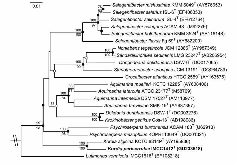 Fig. 3-5-6. Neighbour-joining phylogenetic tree, based on 16S rRNA gene sequences, showing the relationship between strain IMCC1412T and its relatives of the family Flavobacteriaceae.