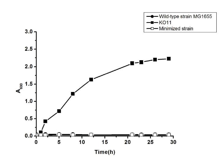 Sucrose 이용 시스템의 도입 전 growth profiling.