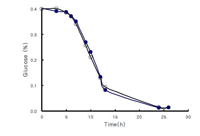 재설계된 최소 유전체 맞춤 균주의 glucose 소모량 변화.