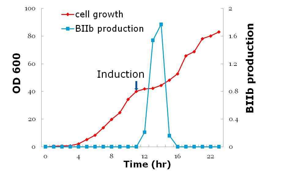 재설계 최소 유전체 맞춤 균주에서 항균 펩타이드 BIIb를 생산하기 위한 batch fermentation profile.