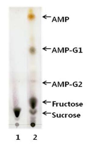 L. mesenteroides 균주로부터 유래한 dextransucrase와 ampelosin의 수용체 반응 산물.