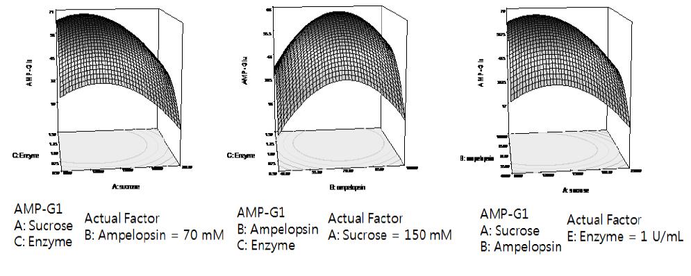 반응 표면 방법(RSM)을 이용한 암페롭신 글루코사이드의 최적 생산 조건과 세 가지 요소(수크로오스 농도, 암페롭신 농도, 효소활성)의 상관 관계식 및 그래프