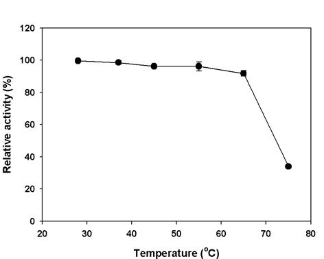 The effect of temperature on the optimum activity and stability of the recombinant HMA.
