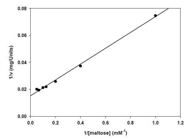 HMA enzyme activity with maltose as a substrate.