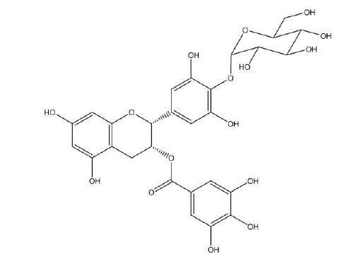에피갈로카테킨 갈레이트-4’- O-알파-디-글루코피라노사이드의 화학구조식