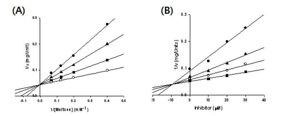 Lineweaver-Burk plot (A) and Dixon plot (B) of the inhibition of HMA by EGCG-G1 with fixed maltose concentrations.
