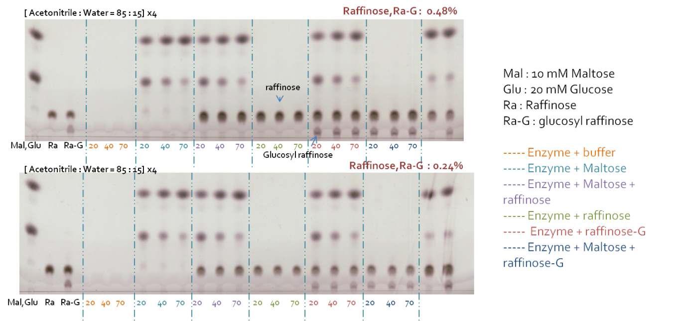 라피노오스와 글루코실 라피노오스 0.24%과 0.48%의 HMA 활성저해 실험.