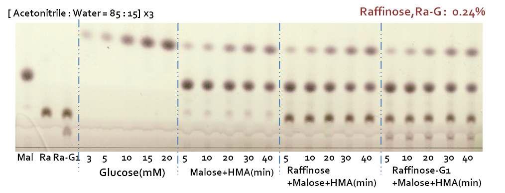 산물의 HMA 활성 저해 실험의 결과를 Thin-chromatography(TLC)로 확인