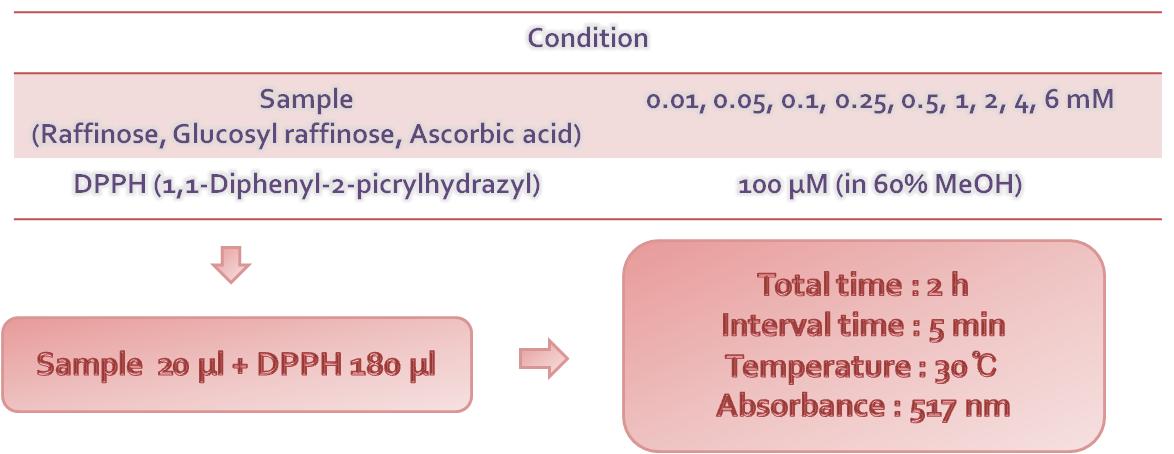 DPPH 항산화 효과 측정으 위한 반응 조건