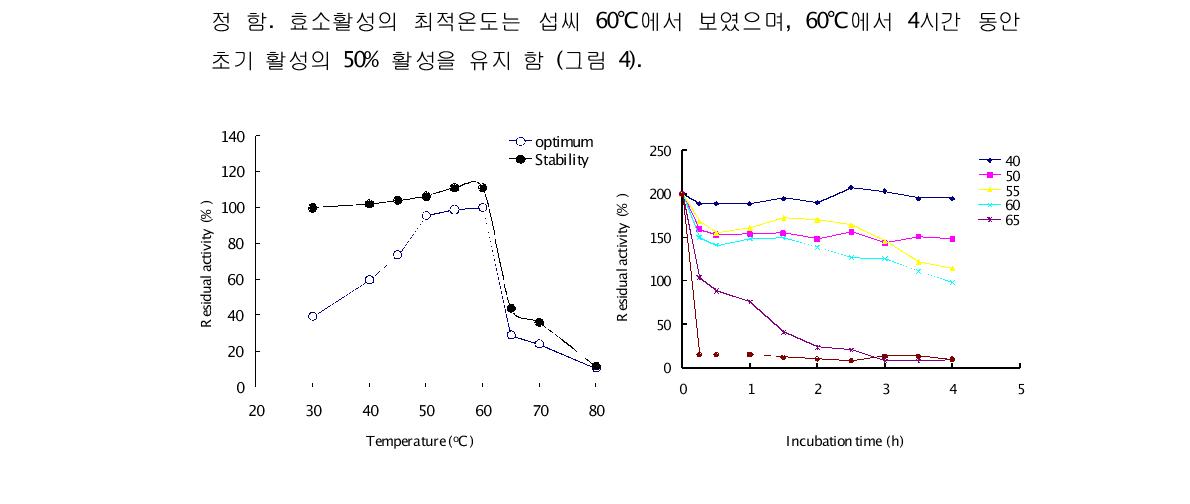 내열성 글루카나아제(TMOdex)의 활성 및 안정성에 대한 온도의 영향