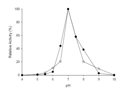 K. lactis β-galactosidase 활성에 대한 pH 영향.