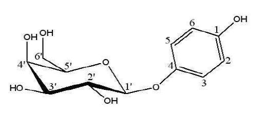 4-hydroxyphenyl-β-D-galactopyranoside의 구조