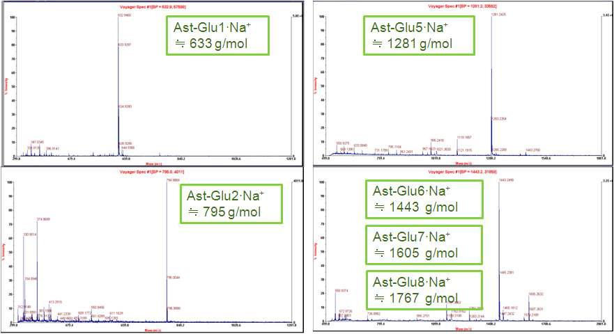MALDI-TOF MS를 이용하여 정제된 아스트라갈린 글루코올리고당의 분자량 확인