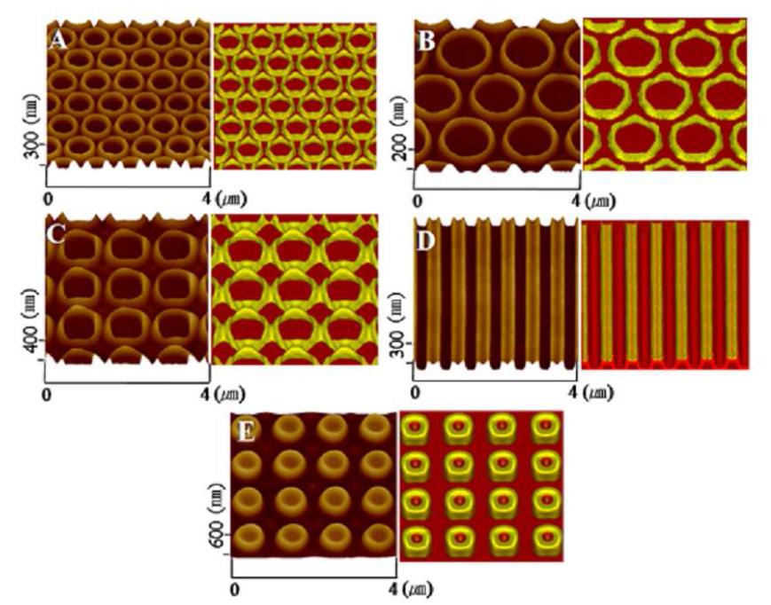 다양한 2차원 표면 격자 구조를 갖는 AFM 이미지 및 광학 시뮬레이션 결과