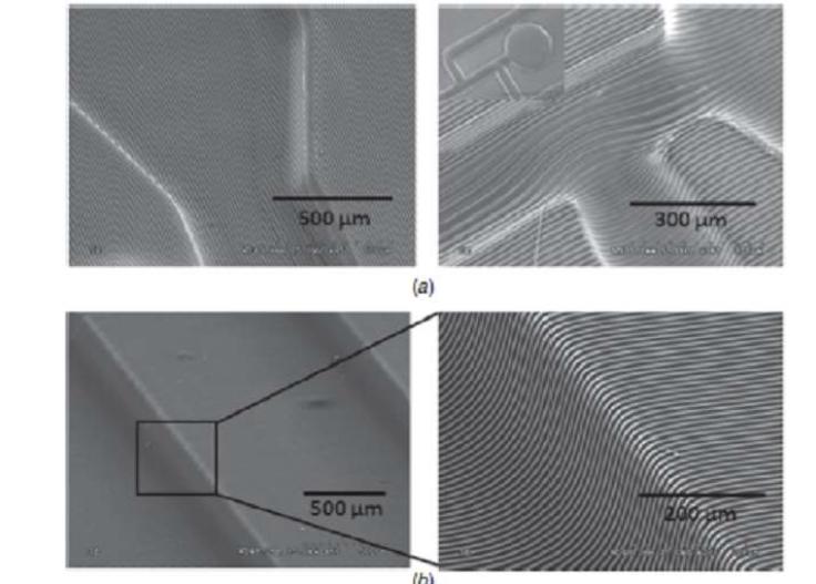 3D molded micrograting patterns formed a) inside microfluidic channels and b) on microsteps.
