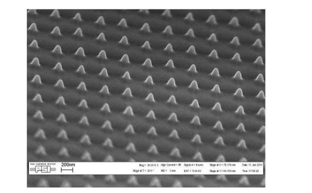 SEM micrograph of silicon substrate with hemispherical dots after pattern transfer using anisotropic RIE (pitch 500 nm in both orthogonal directions).